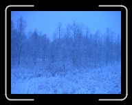 0212_0301 Sverige 018 * 800 x 600 * (53KB)